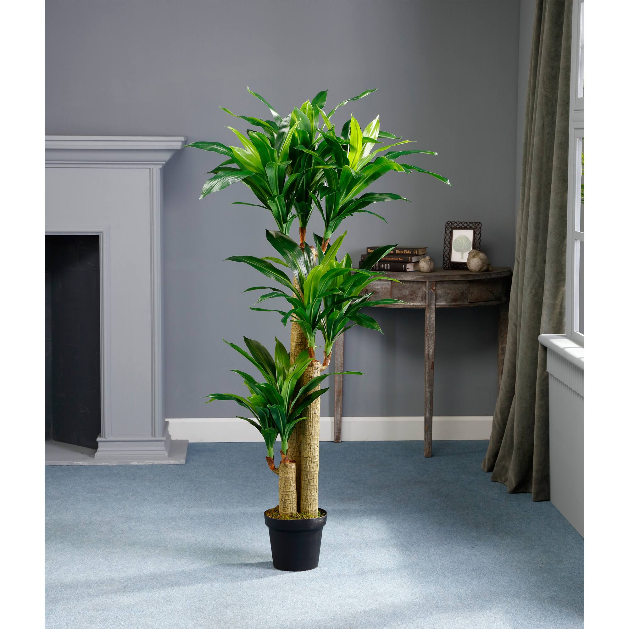 5 Ft. Tropical Dracaena Tree